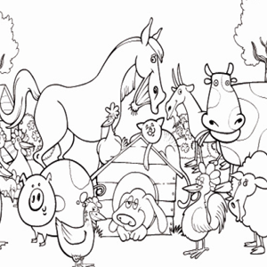 boerderij-dieren